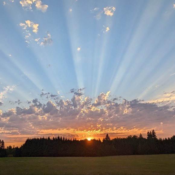 SHARE SHOW UNDER 25 9/17/24 - Picture 1 of 1